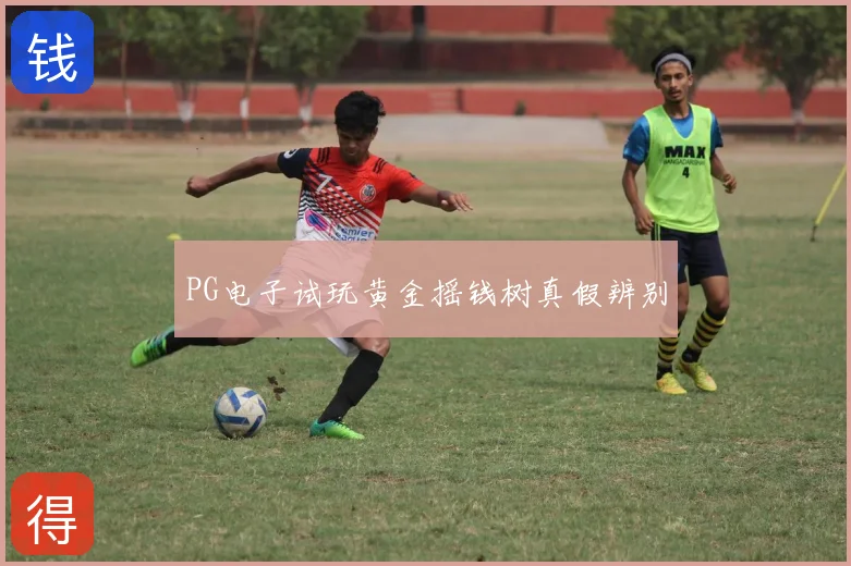 PG电子试玩黄金摇钱树真假辨别