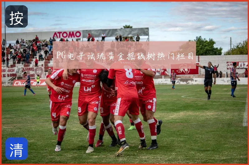 PG电子试玩黄金摇钱树热门栏目
